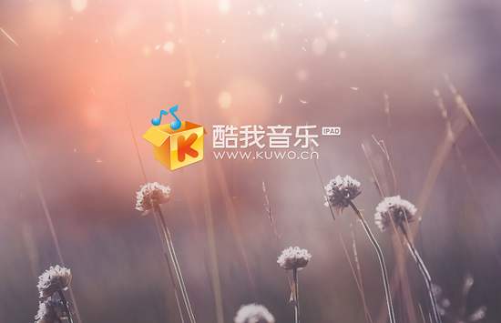 酷我音乐歌曲API-侯建方的个人网站